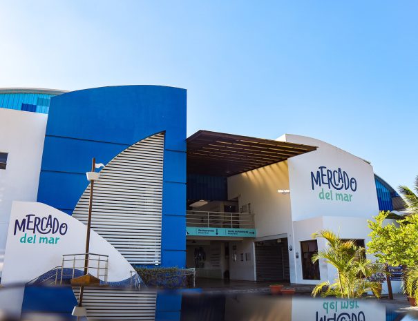 mercadodelmar-03