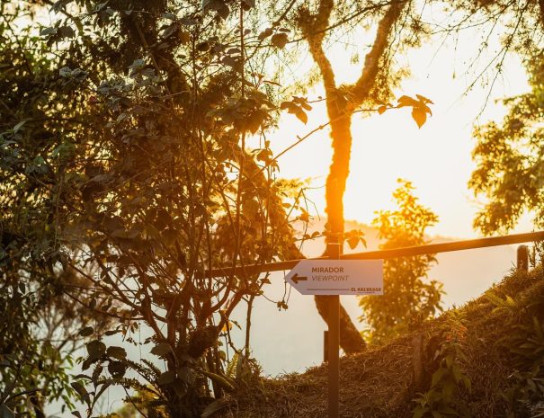 ruta al mirador